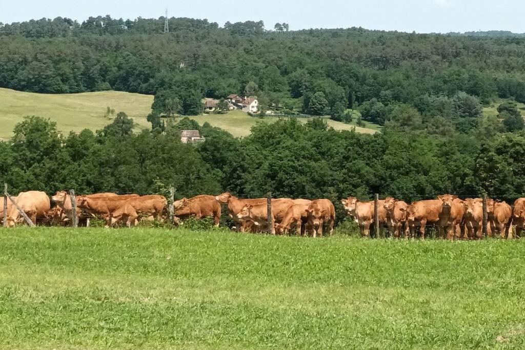 Gite Aux Vieux Bois Lunas  Extérieur photo