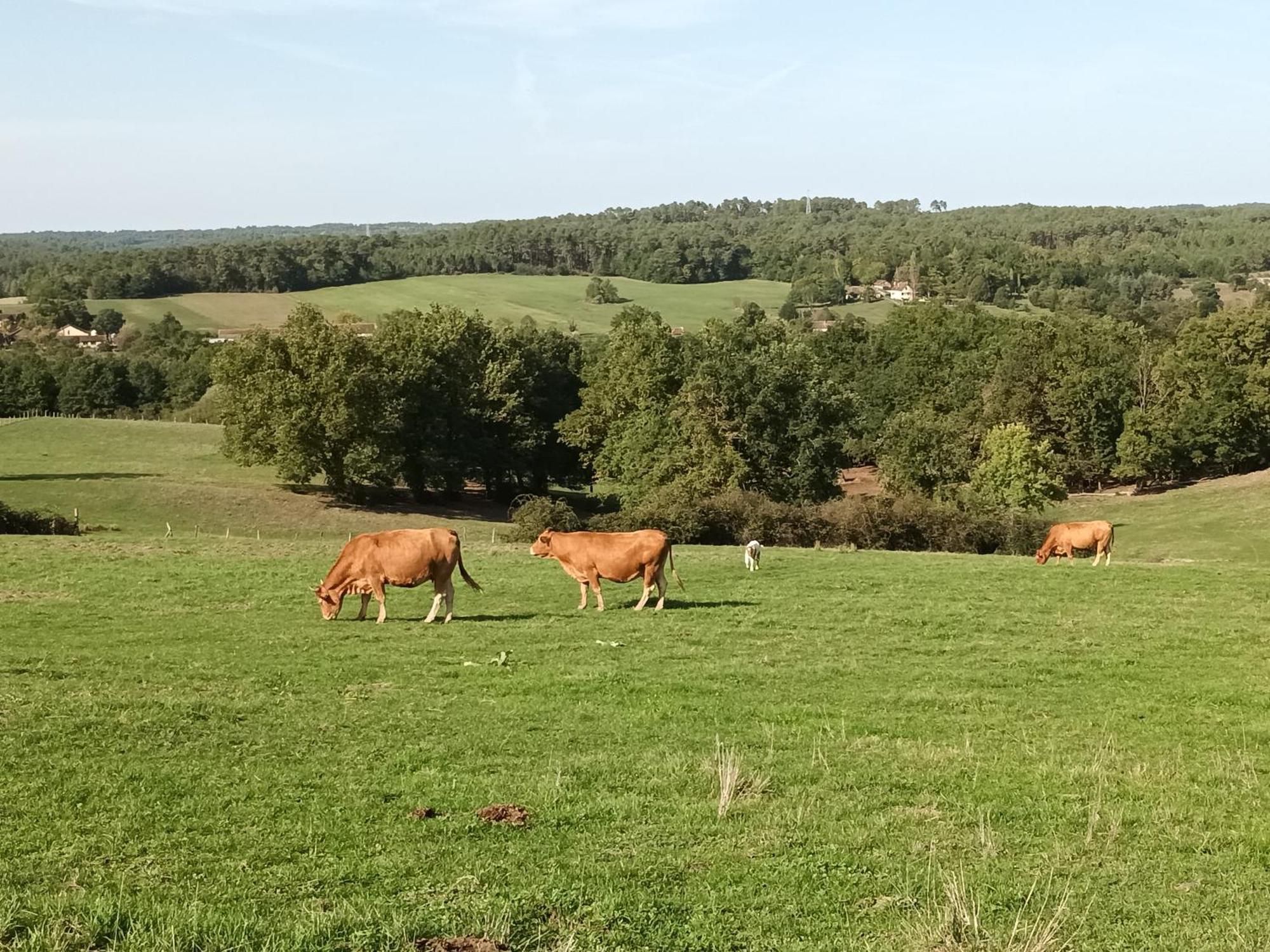 Gite Aux Vieux Bois Lunas  Extérieur photo